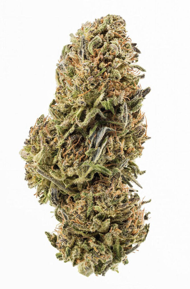 Lifter CBD Flower Questions & Answers