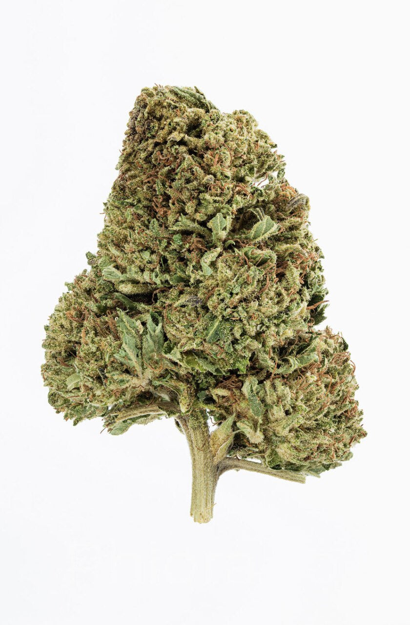 Which variety of Kush does this CBD strain belong to specifically?
