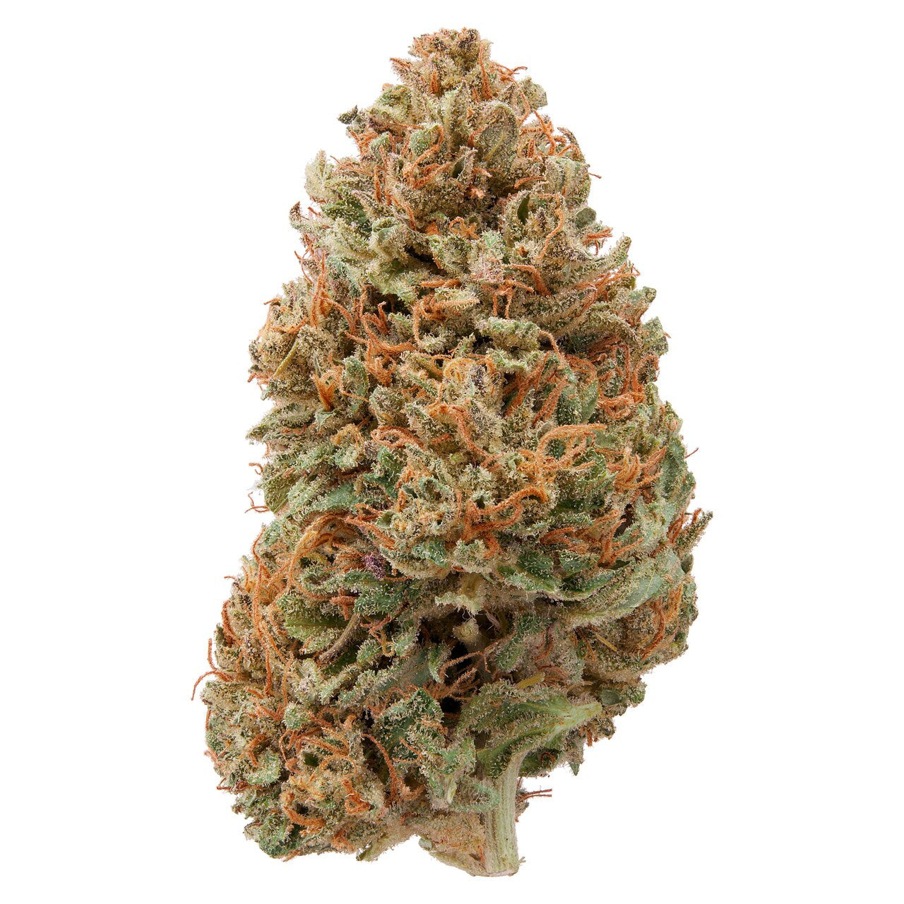 Hawaiian Haze | Sour Hawaiian Haze CBD Flower Questions & Answers