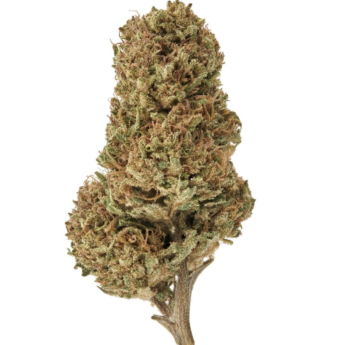 Which terpenes can be found in the Sour Space Candy product?