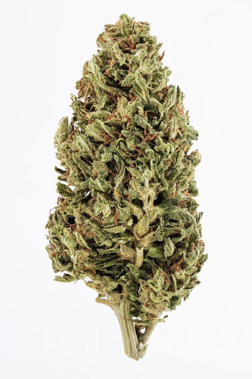What flavors are typically experienced with Jack Herer (Indoor) products?