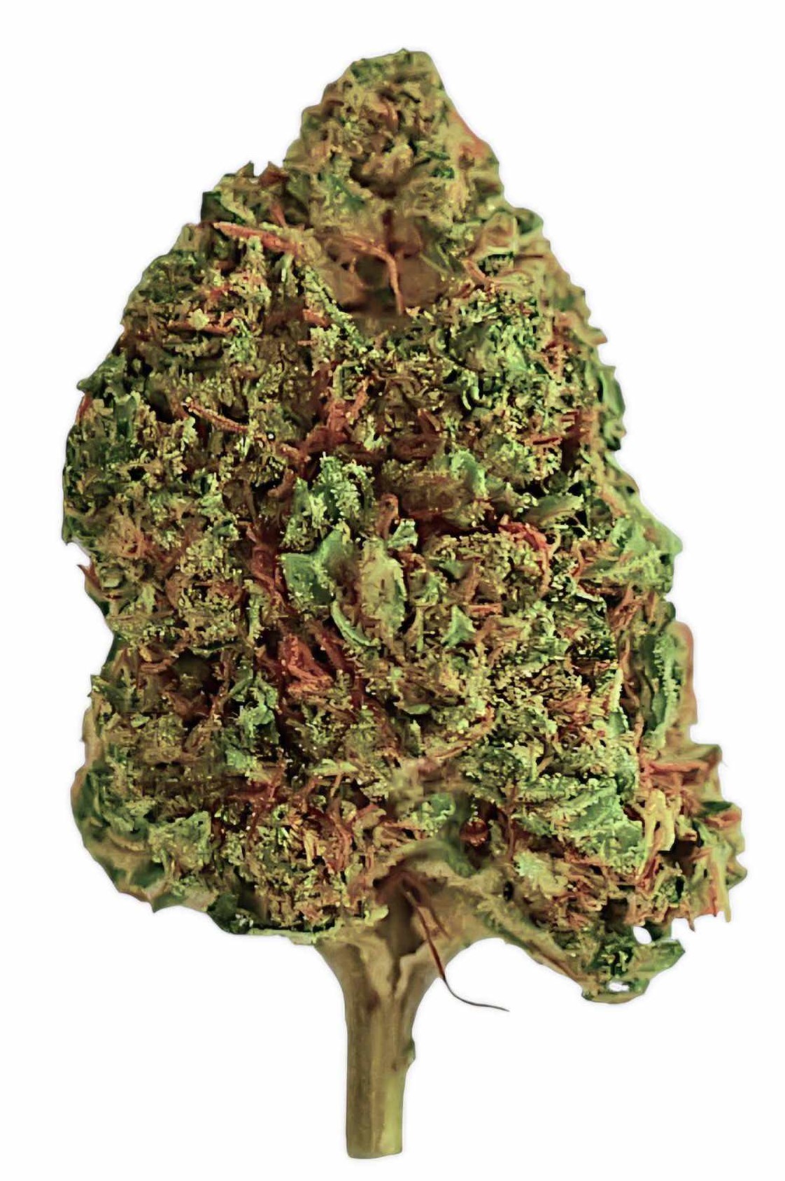 What is the Delta 9 THC content of the product?