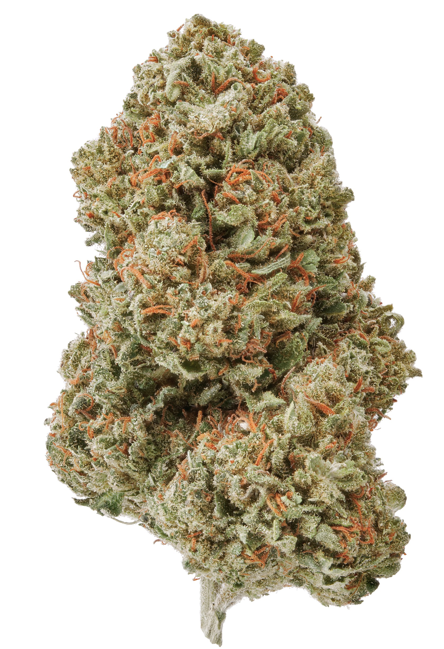Skywalker Hemp Flower Questions & Answers