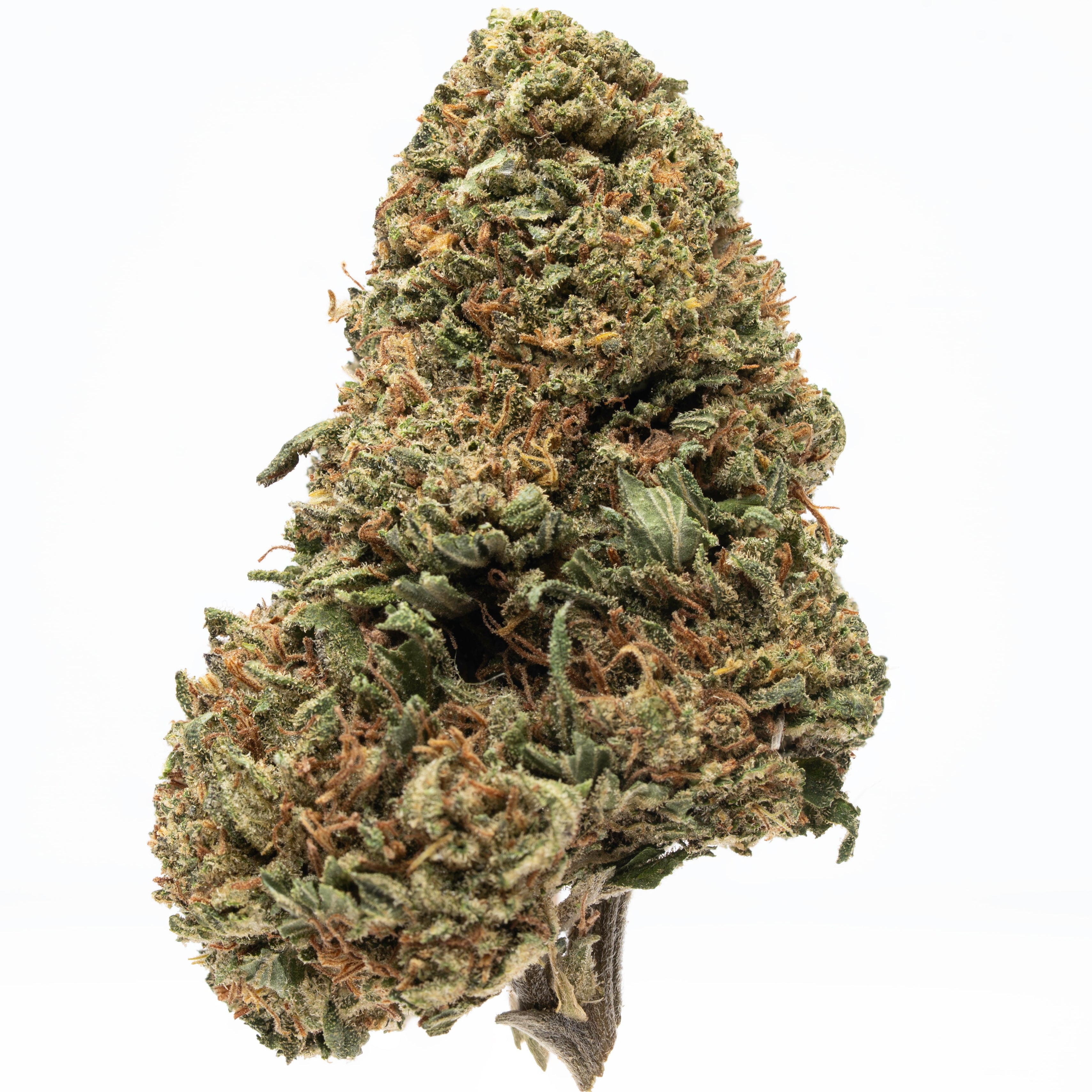 How does Royal OG stand out from other hemp flower varieties?