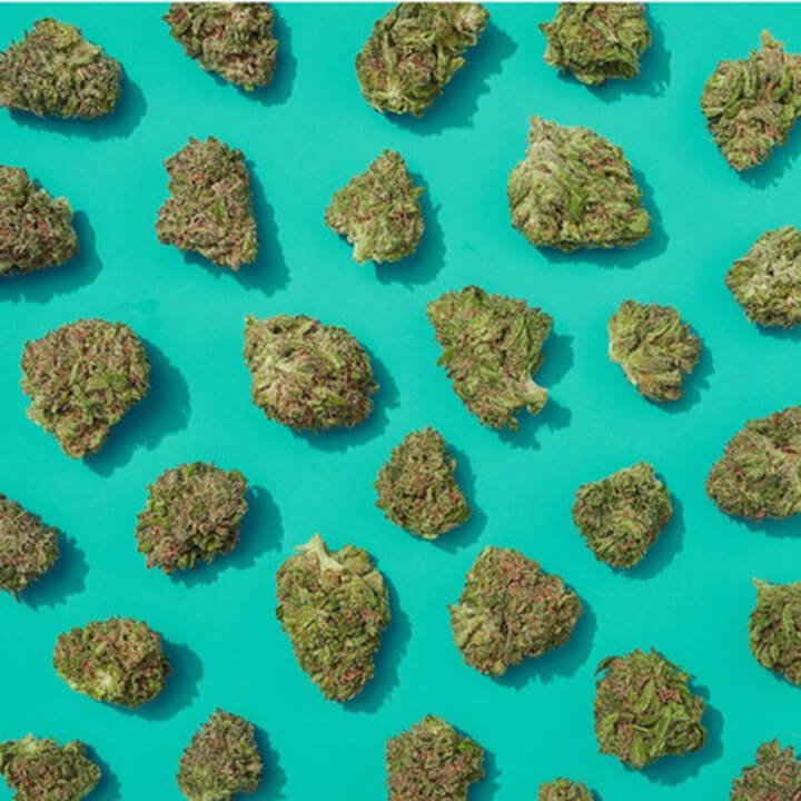 What is the Delta 9 THC content of the Miracle Lemon Cookies strain?
