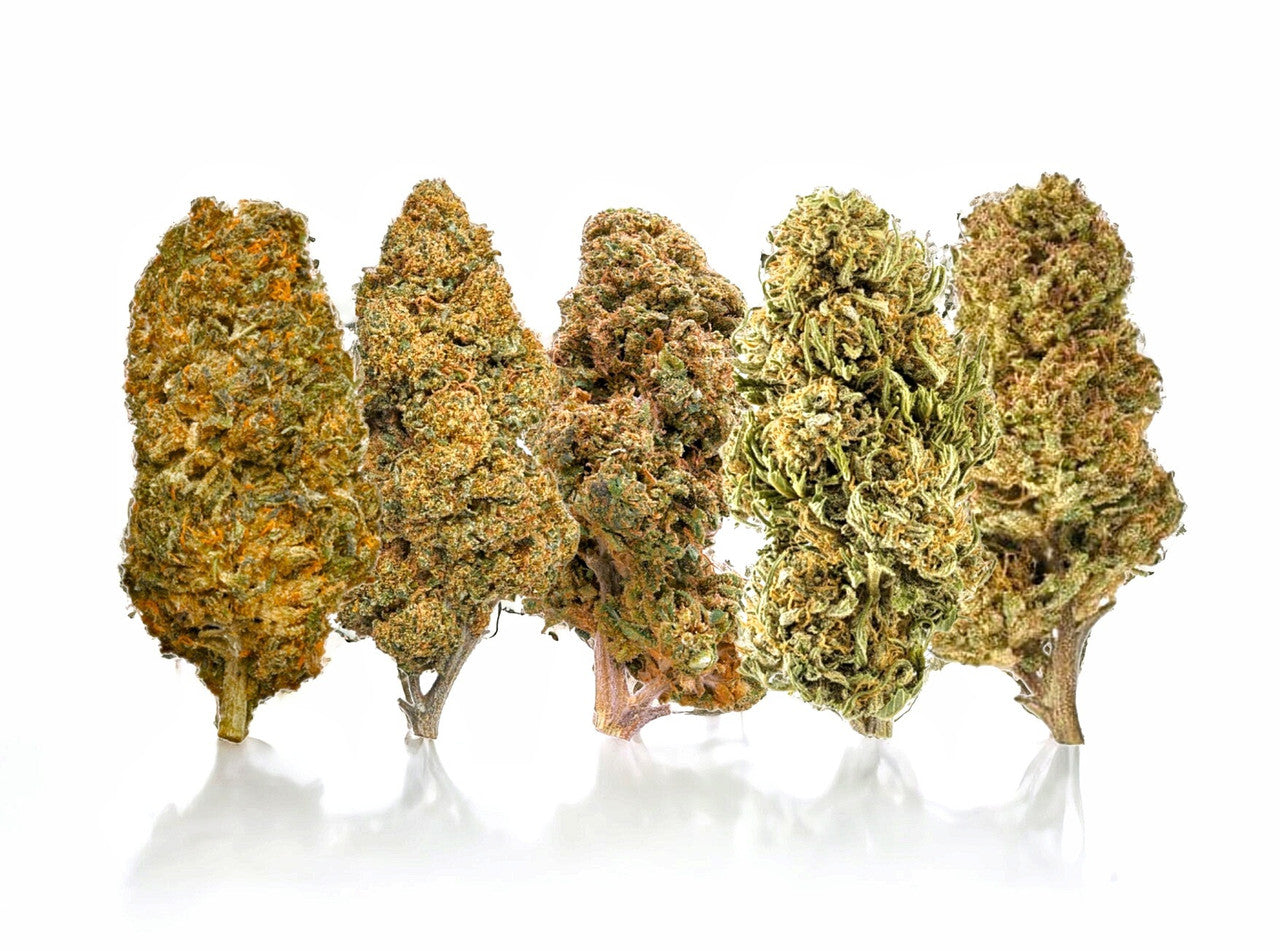 Which colors are visible in the appearance of Delta 8 Mixed Buds?