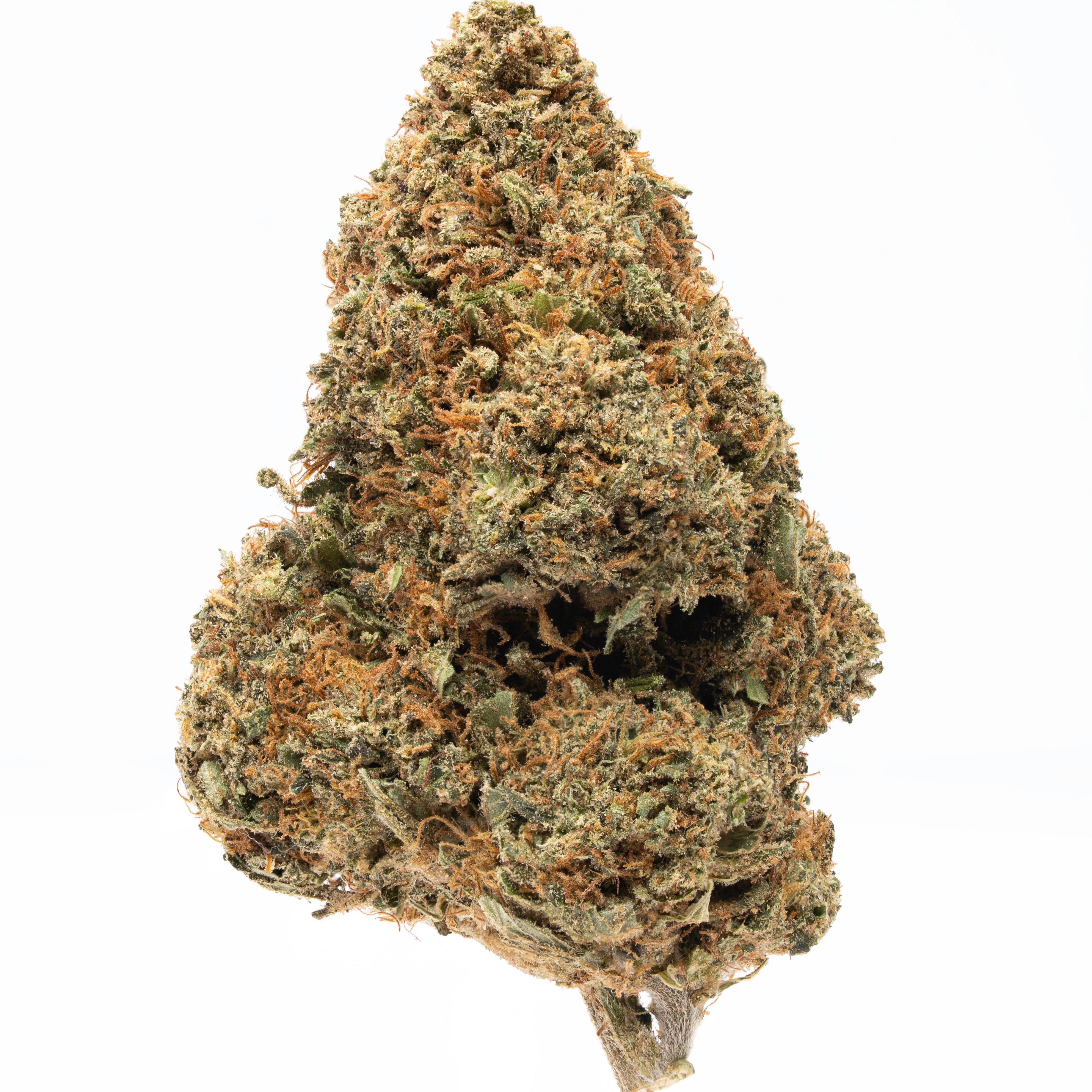 Is Lemon Octane Flower safe to use if you may undergo drug testing?