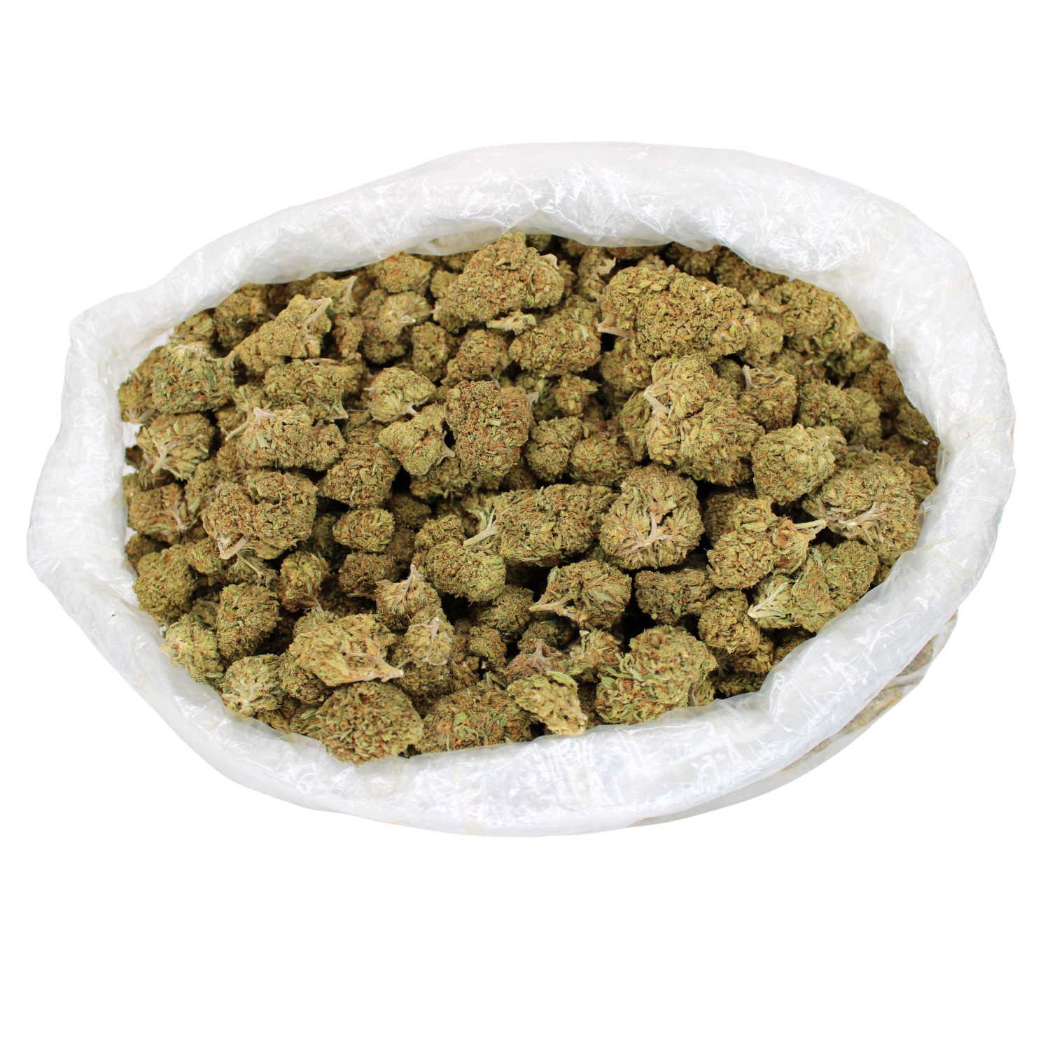 Which terpenes are most prominent in Lemon Octane Flower products?