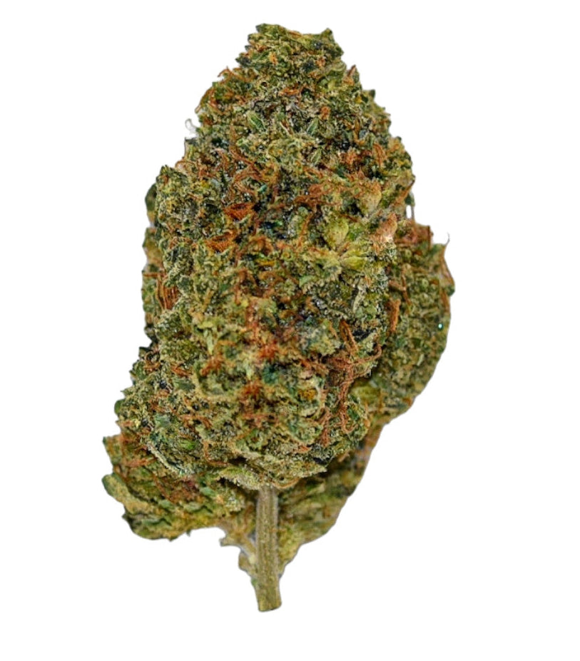 How would you describe the taste profile of Turbo Diesel Indoor CBD flower?