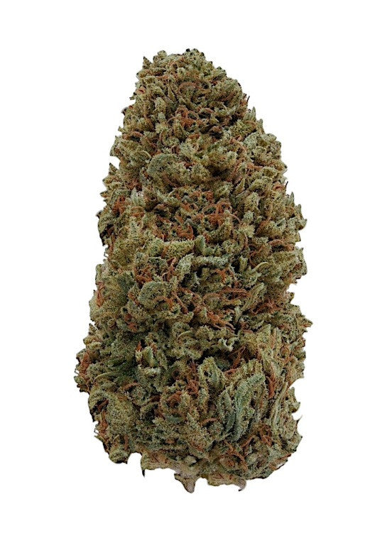 How would you describe the aroma of Sour Special Sauce flower?