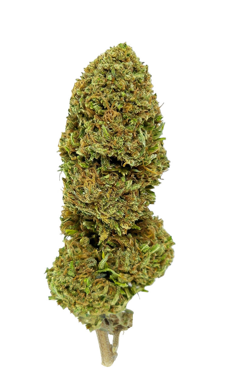 How would you describe the scent profile of Critical Berries?