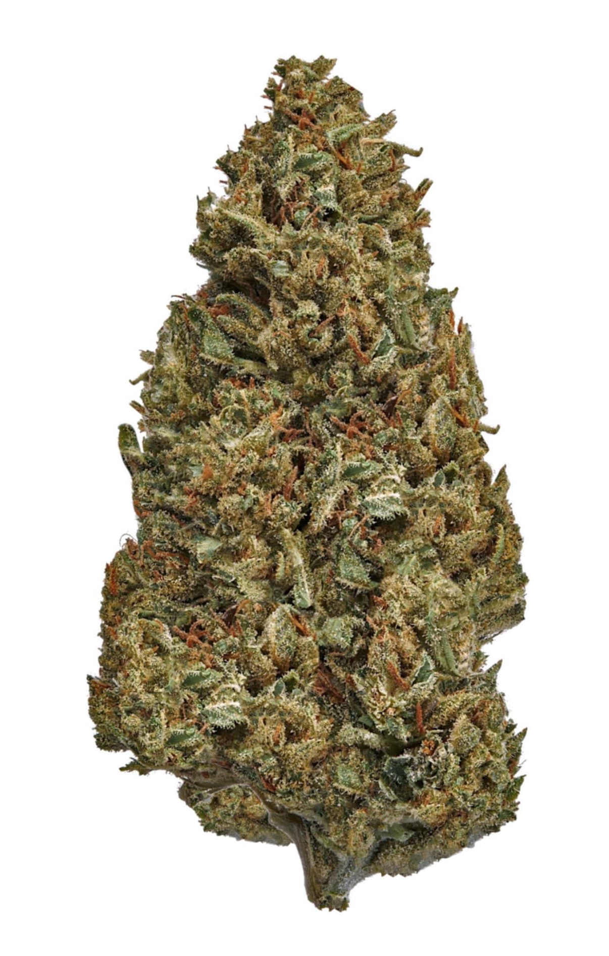 Sour Elektra CBD Flower Questions & Answers