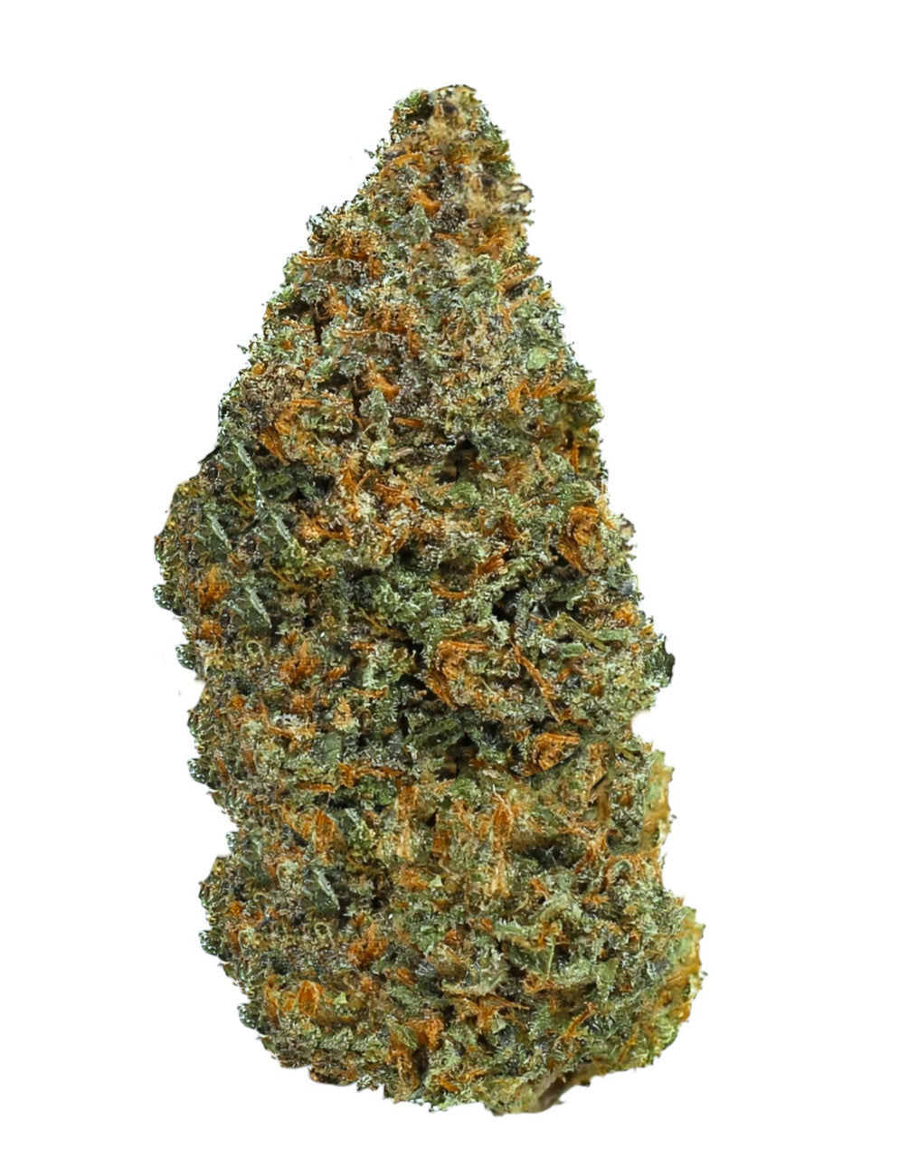 Tangie Questions & Answers