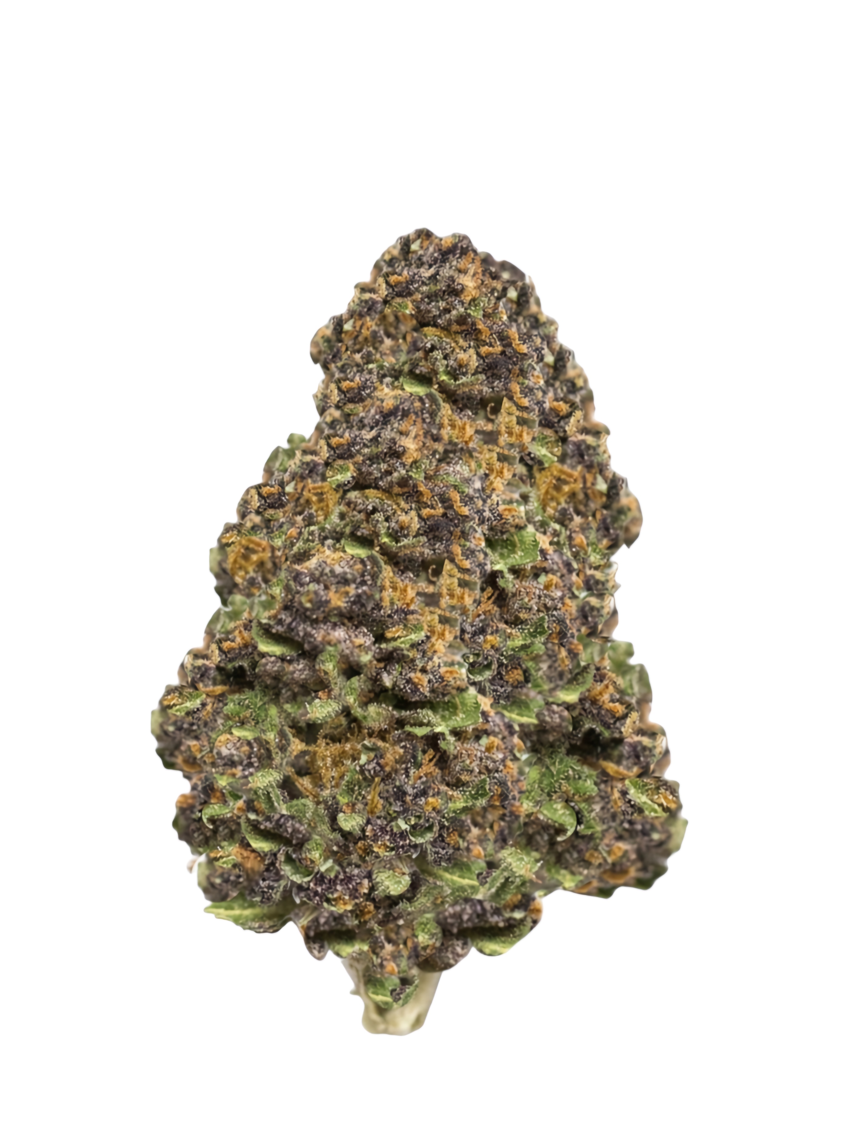 What type of strain is this product?