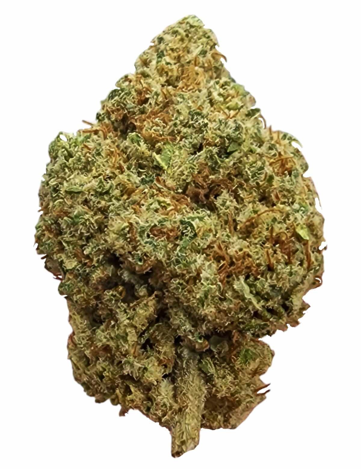 What strain variety is the Jelly Donut Indoor Hemp Flower?