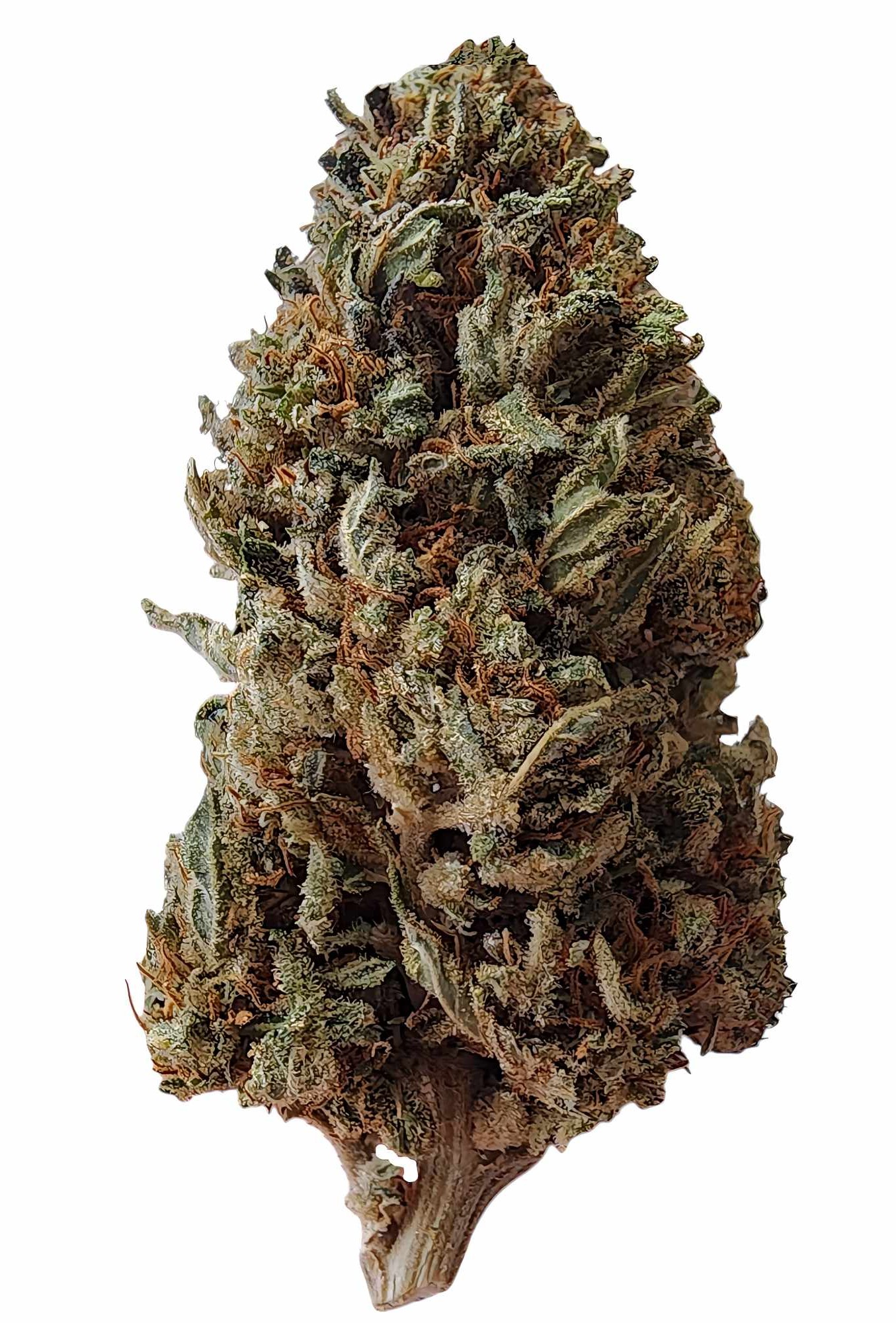 What are the cannabinoid traits of Miracle Lemon Cookie Hemp?