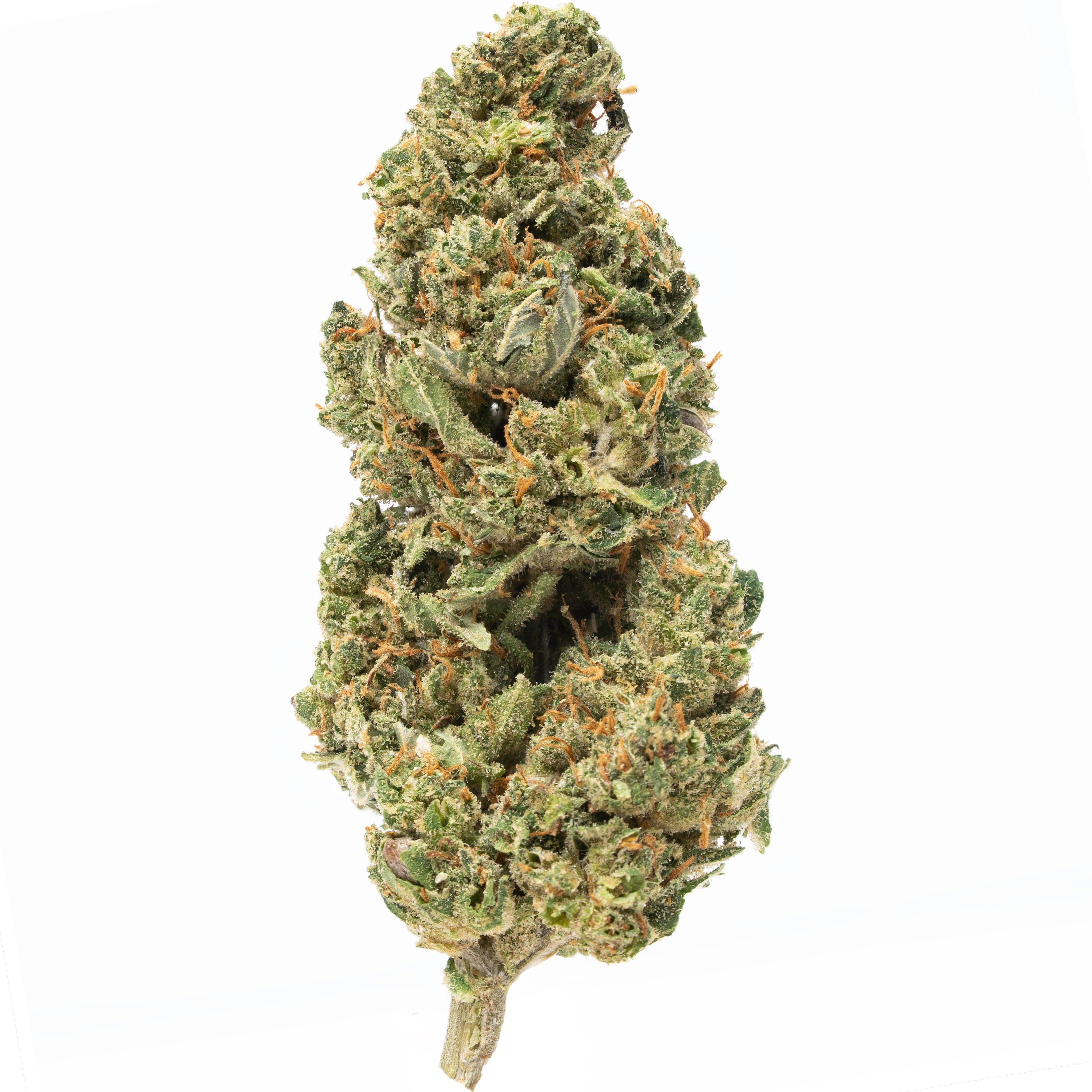 Fruit Leak Greenhouse CBD Flower Questions & Answers