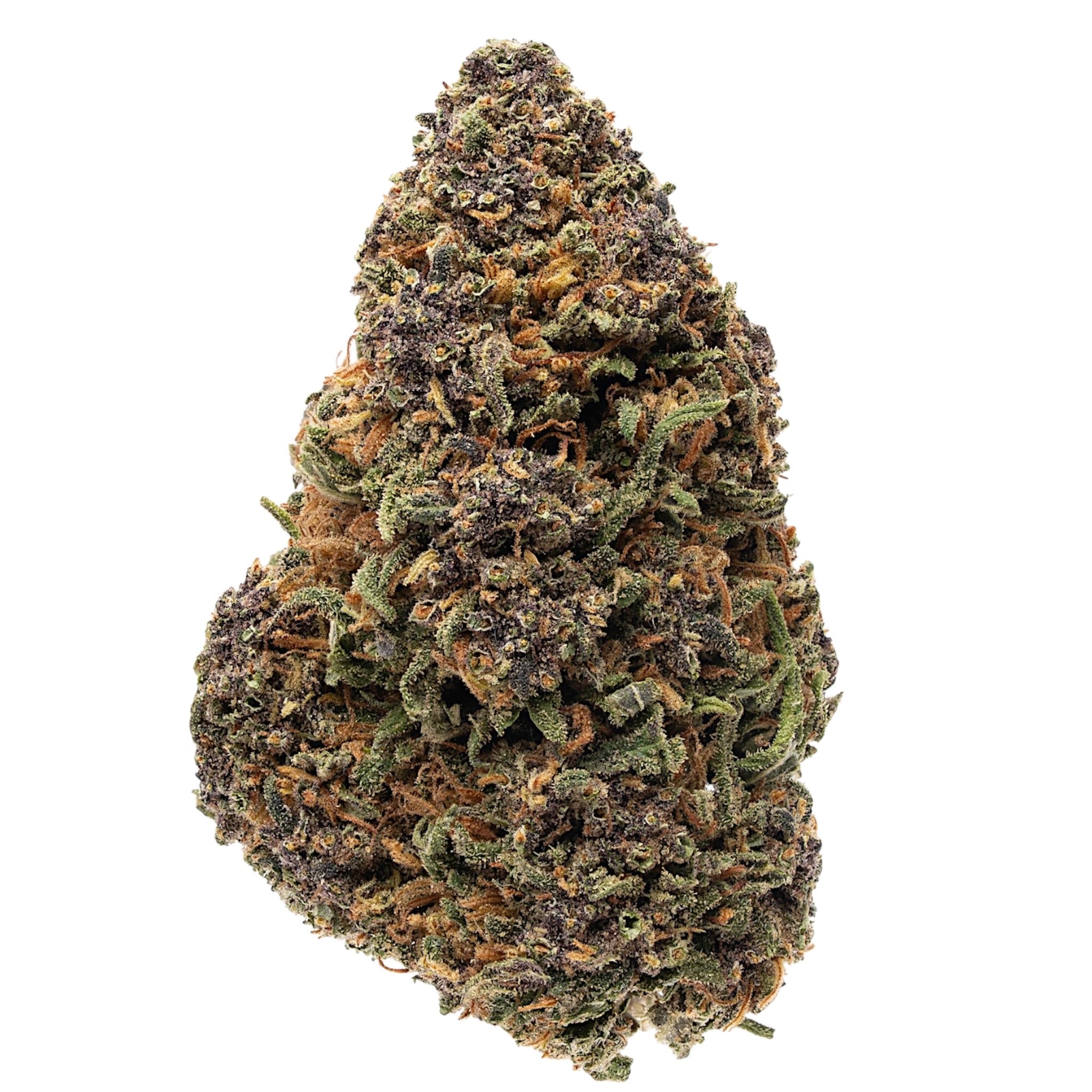 How does the terpene profile set Saphire Kush apart from others?